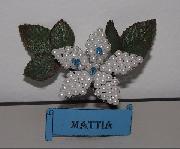 Bomboniere & Segnaposto! by Marika